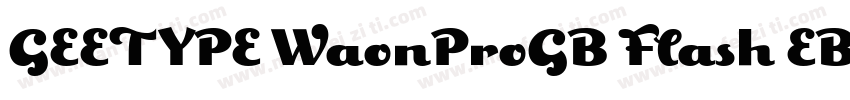 GEETYPE WaonProGB Flash EBttf字体转换